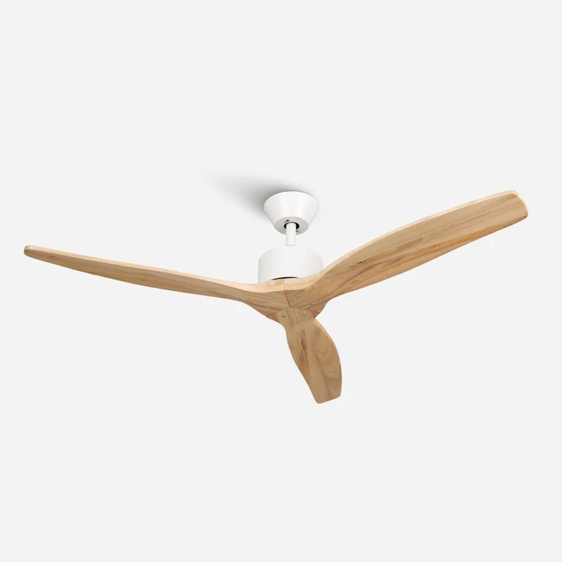 Brizy Light Wood - FP