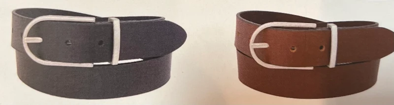 SILVER ENLONGATED HARNESS BELT