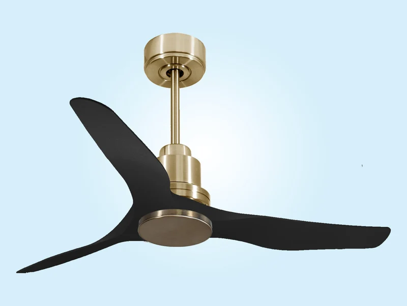Ventilatore da soffitto Reversibile Termostato Wifi Motore CC Tetti inclinati Telecomando Adattatore 2/3 lame Hypersilence Memoria