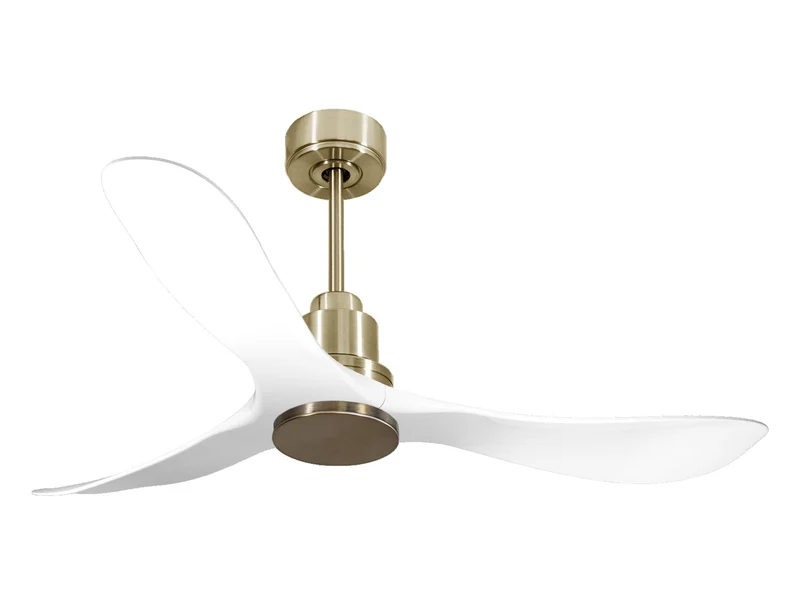 Ventilatore da soffitto Reversibile Termostato Wifi Motore CC Tetti inclinati Telecomando Hypersilence Memoria