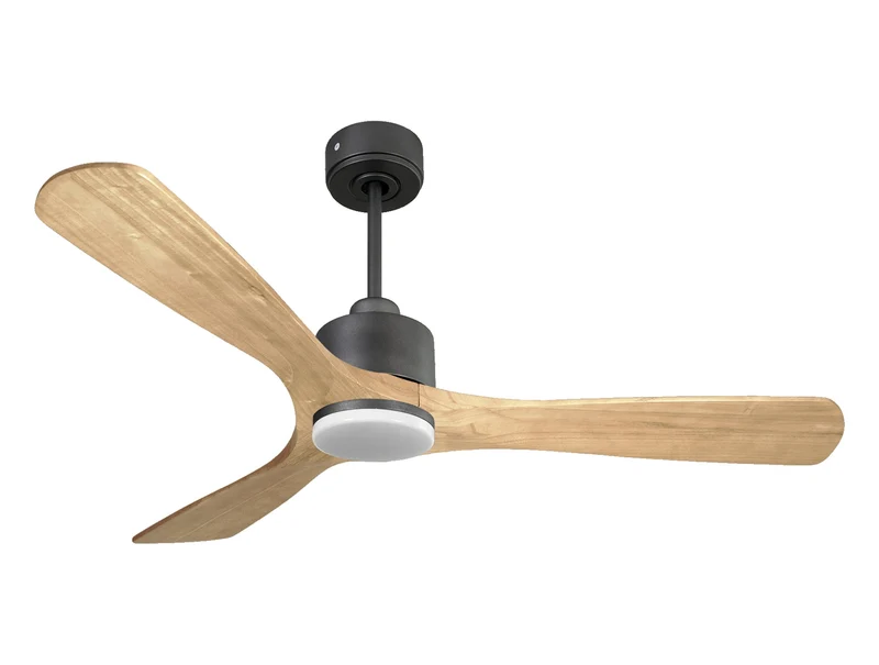 Ventilatore da soffitto Reversibile Termostato Dimmabile Wifi Motore CC Tetti inclinati Telecomando Luce a tre toni Hypersilence Memoria