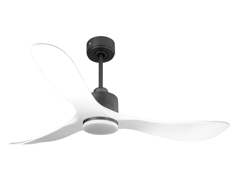 Ventilatore da soffitto Reversibile Termostato Dimmabile Wifi Motore CC Tetti inclinati Telecomando Luce a tre toni Hypersilence Memoria