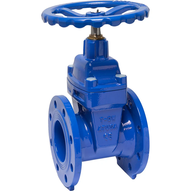 Saracinesca Corpo Piatto Cuneo Gommato Per Flangia Dn 125 - 8 Fori