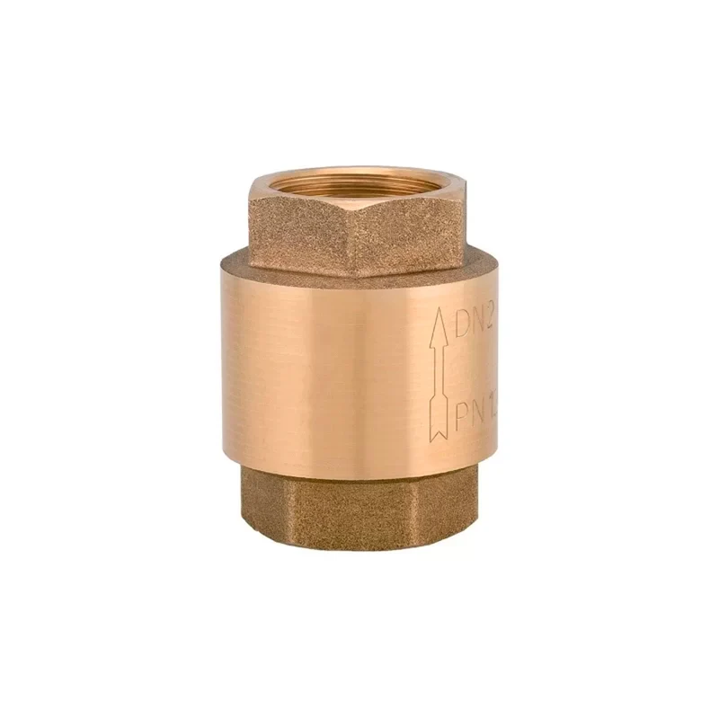 Valvola Di Ritegno A Molla Con Inserto In Ottone 2"