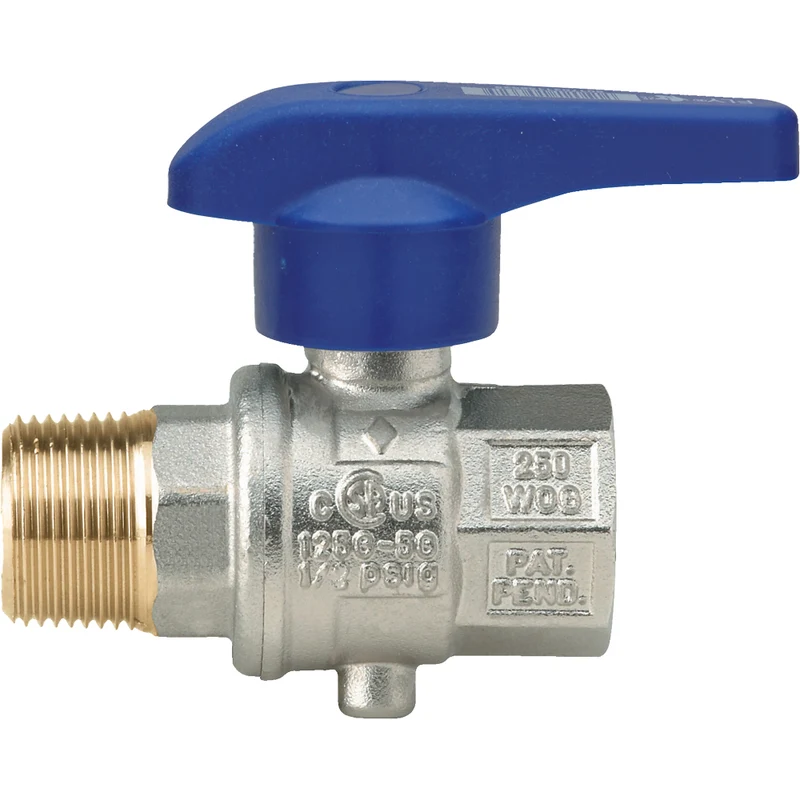 Valvola M/F A Leva 1" Pn 25