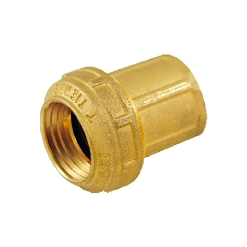 Raccordo Dritto Femmina Per Tubo Polietilene Pn 25 Tiemme 50X1"1/2
