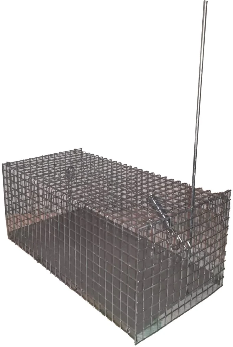 trappola per topi a gabbia grande 40x18x14 cm