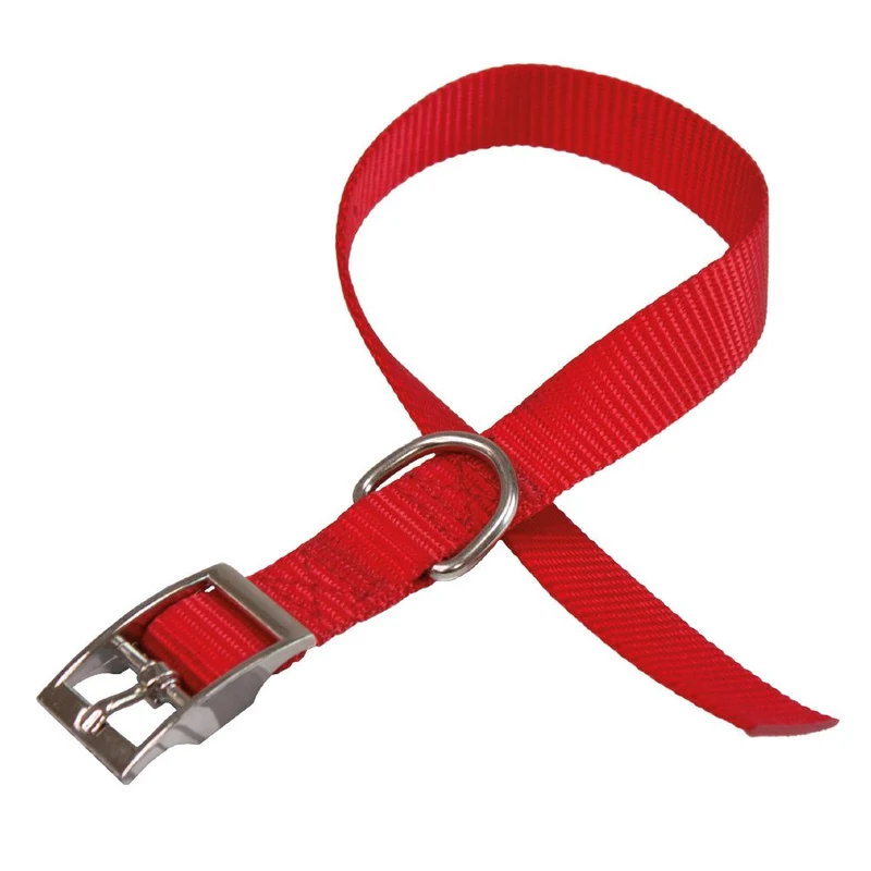 collare per cani 'daytona c' mm 25x 45÷53 cm - col. nero