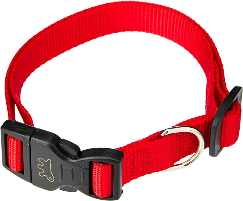 collare per cani 'club c' mm 10 x cm 23÷32 - col. blu