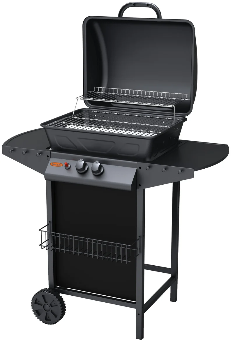 barbecue a gas due fuochi ideal star cm 91,3x46x102h