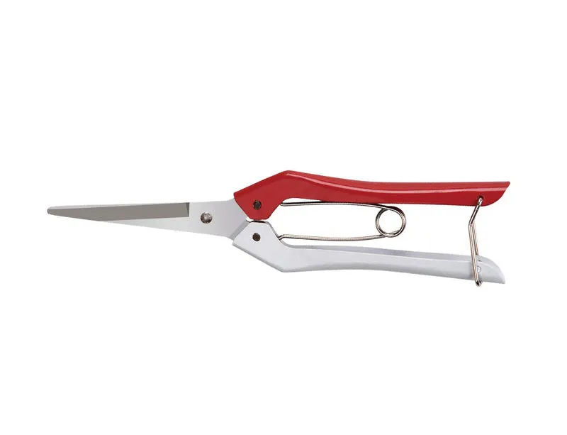 forbici coglifrutta ideal star 20 cm