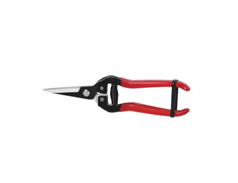 forbici coglifrutta e ortaggi ideal star 19 cm