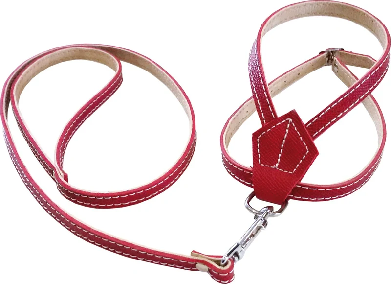 parure per cani 10x600 mm