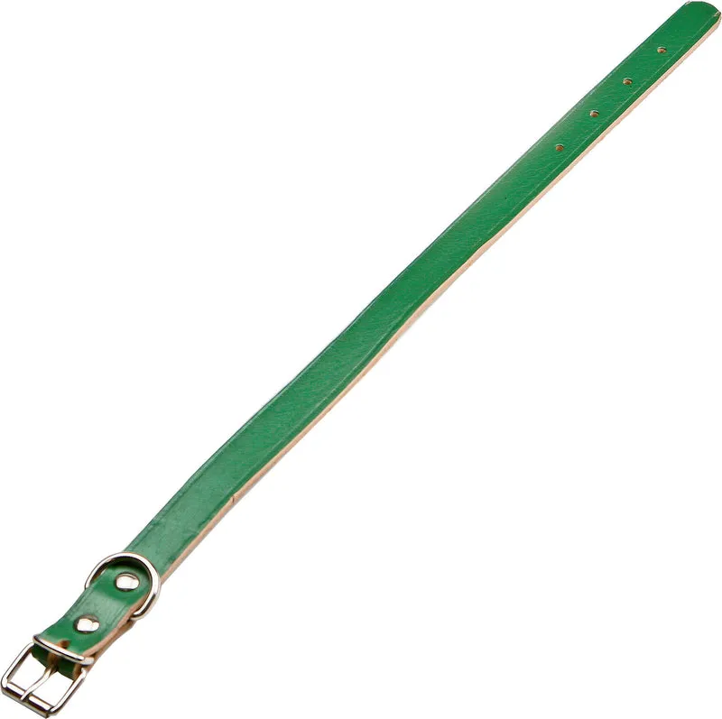 collare per cani sfoderato 25x510 mm