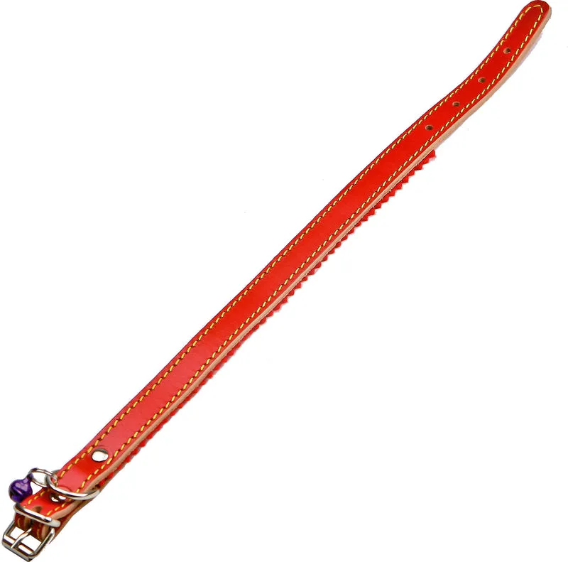 collare per cani foderato con campanello 16x370 mm
