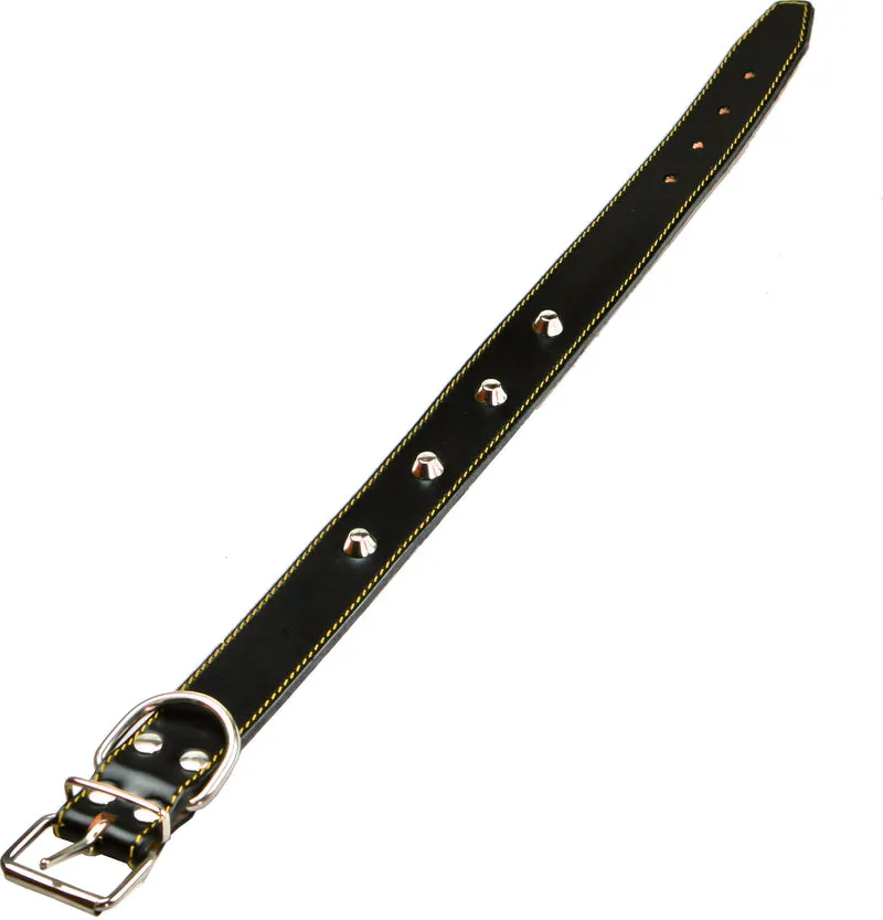 collare per cani foderato con borchie 16x370 mm