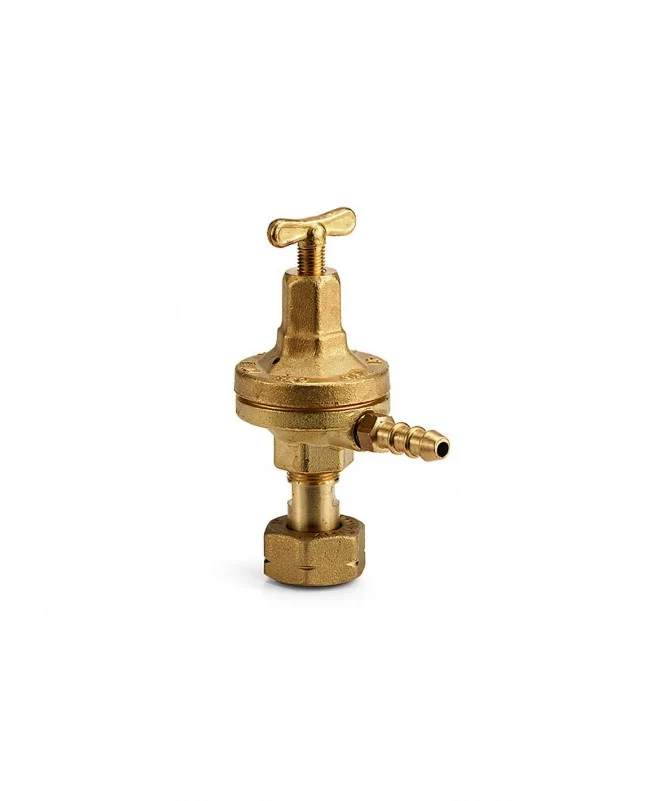 riduttore per gas 8 kg/h