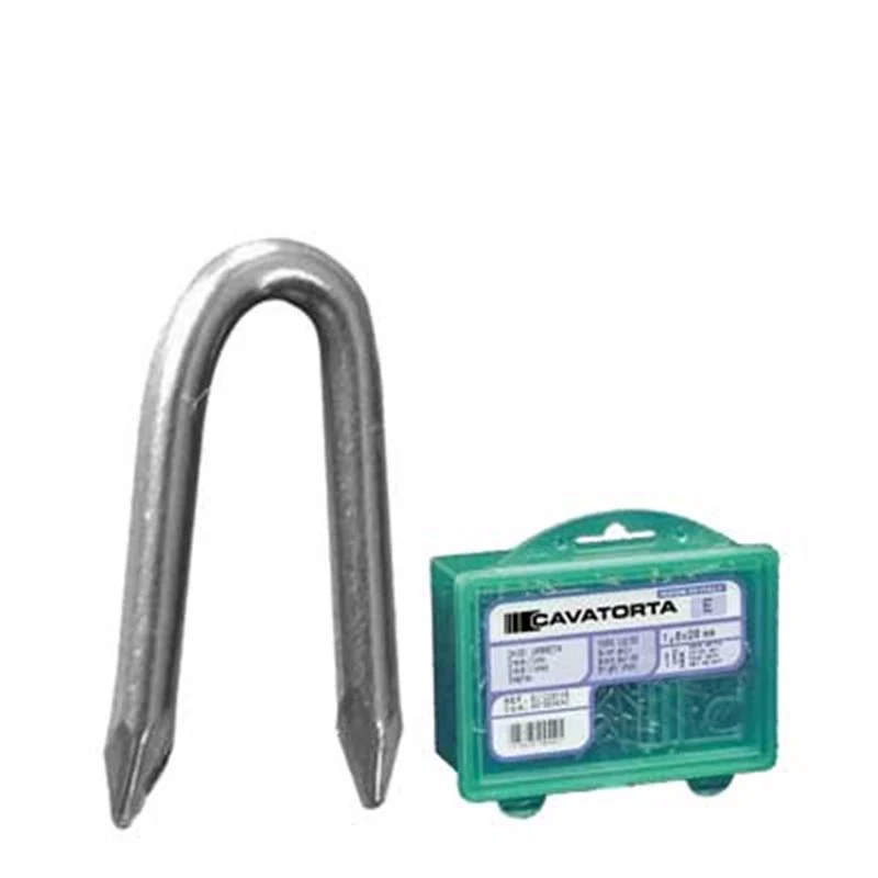 chiodi cambretta bricoline 1 kg cavatorta 2,2x25 mm