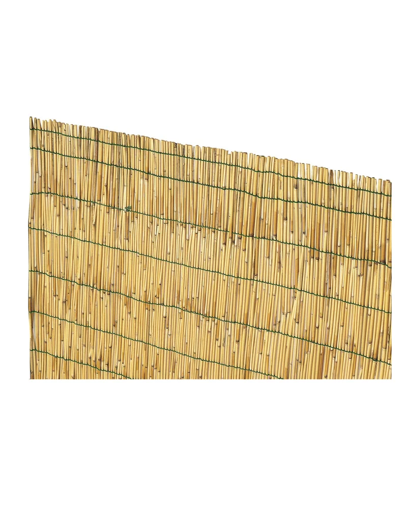 Arella in cannetta di bamboo CINA VERDELOOK