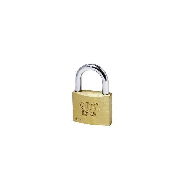 Lucchetto rettangolare ISEO 50277 50 mm
