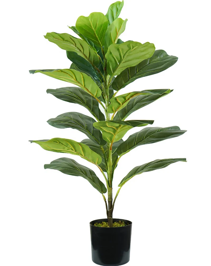Pianta artificiale di ficus lyrata KING HOME