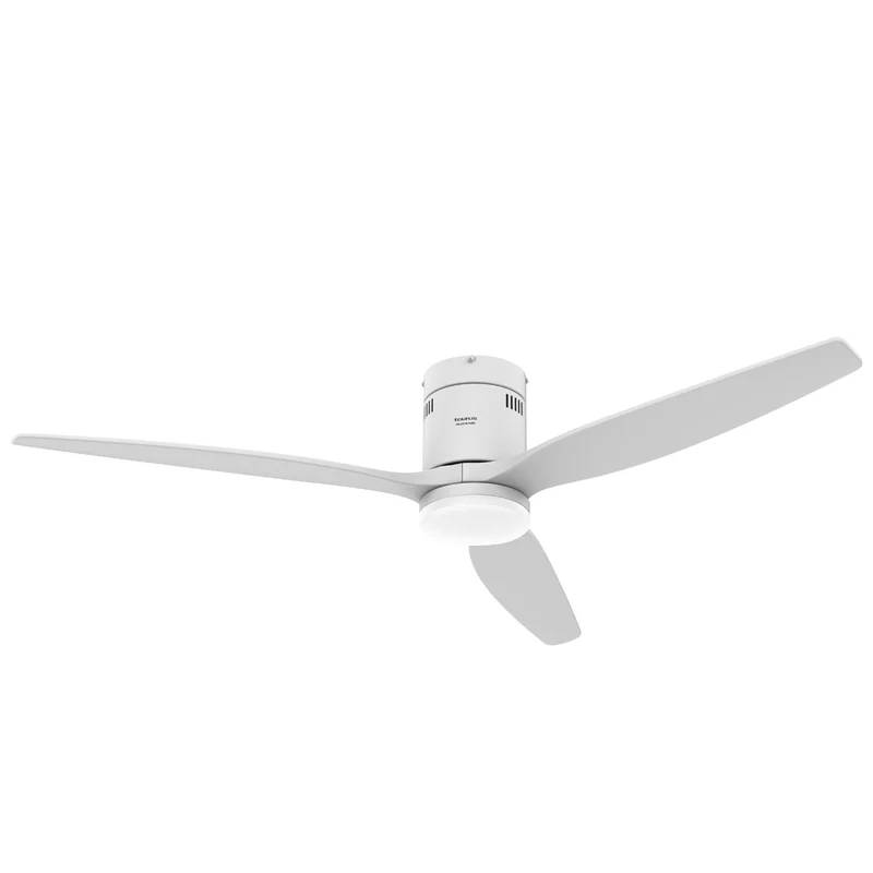 POLAR 3B PURE - FP