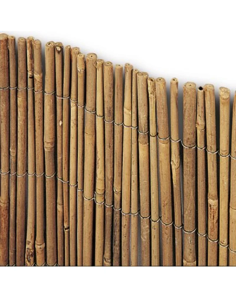 Arelle in bamboo TIME VERDELOOK