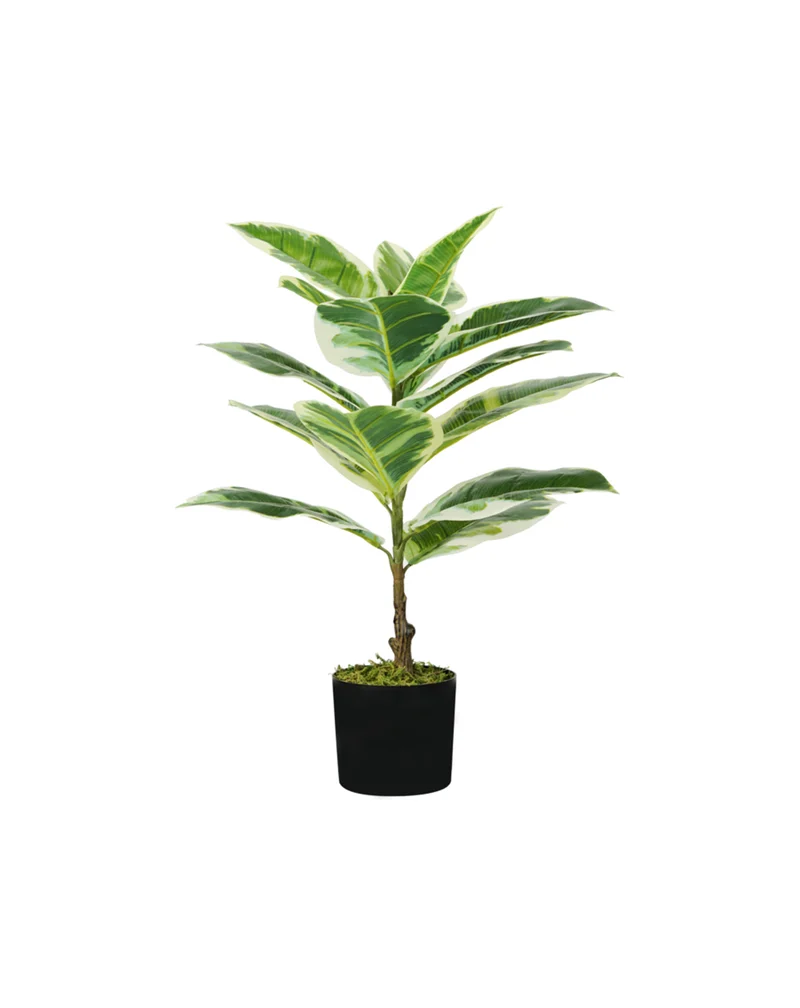 Pianta artificiale di ficus elastica KING HOME
