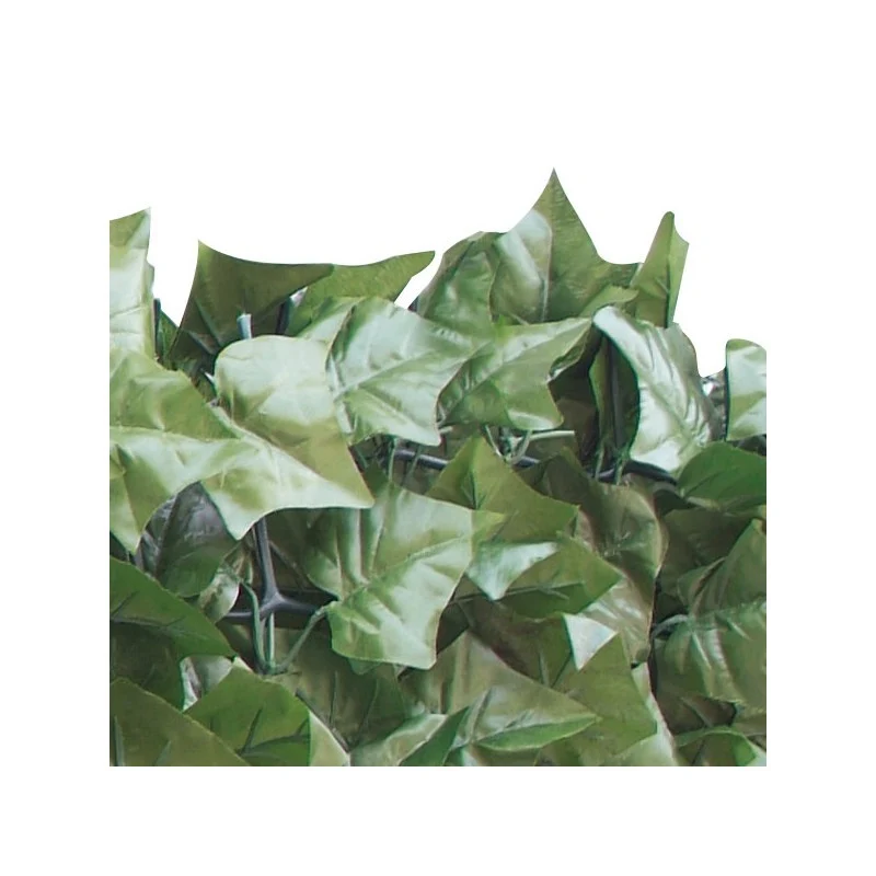 Sempreverde Point foglie Edera 1,5x3 m