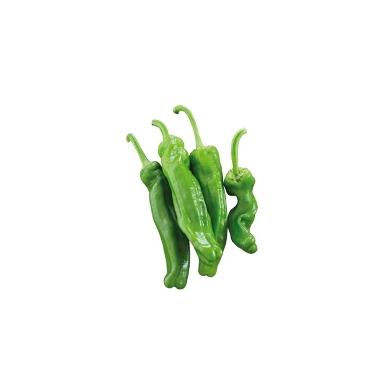 Peperone Friggitello (Friariello) Gran Raccolto