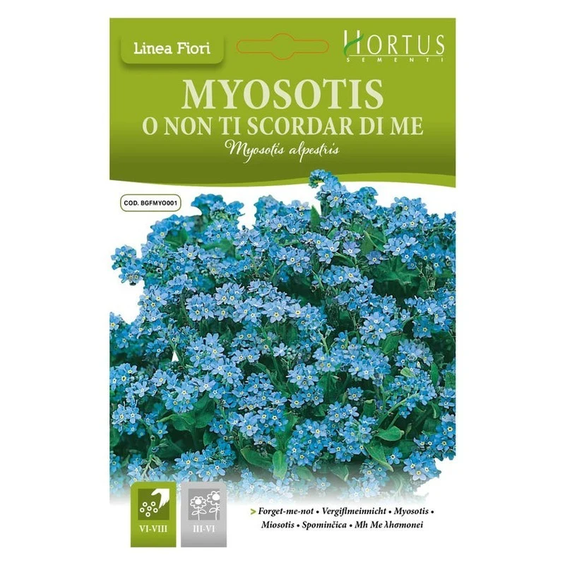 Myosotis Alpestris o Non ti scordar di me DB