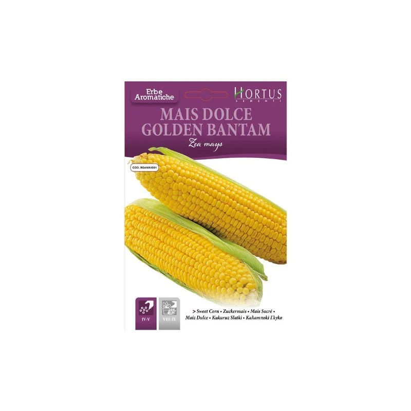 Mais Dolce Golden Bantam DB