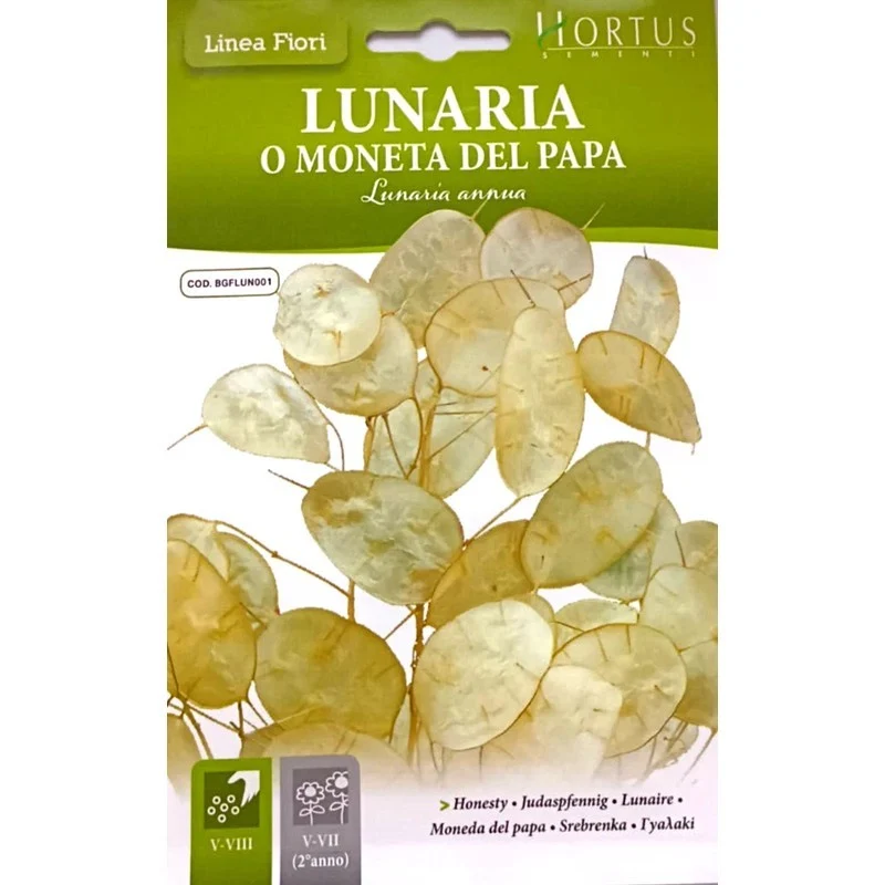 Lunaria o Moneta del Papa DB