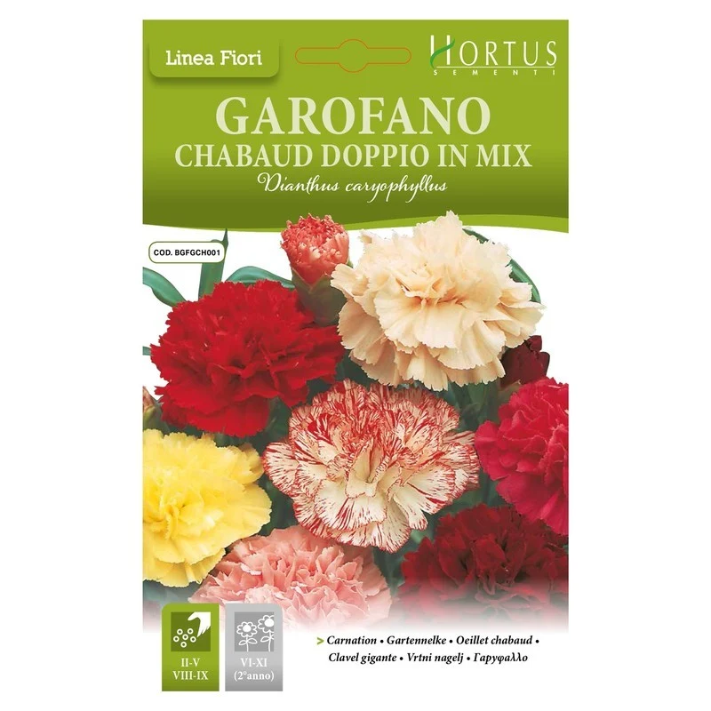 Garofano Chabaud doppio in mix DB