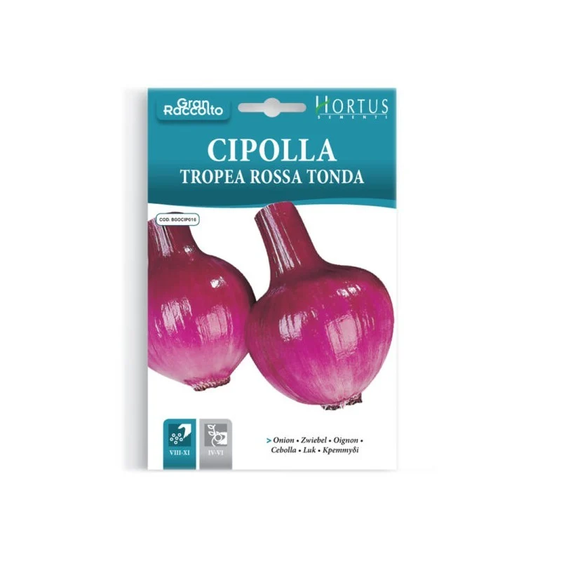 Cipolla Tropea rossa tonda Gran Raccolto