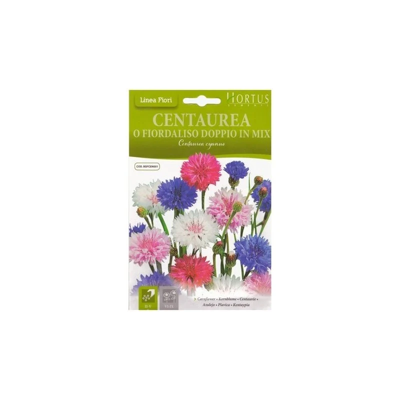 Centaurea o Fiordaliso doppio mix DB