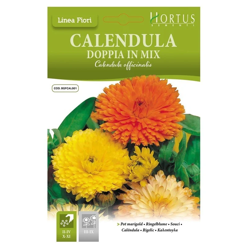 Calendula doppia mix DB