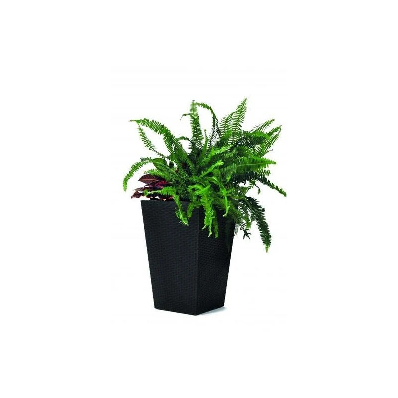 Vaso Keter Planter S in rattan antracite 23,6l cm 28,5x28,5x43,5 h