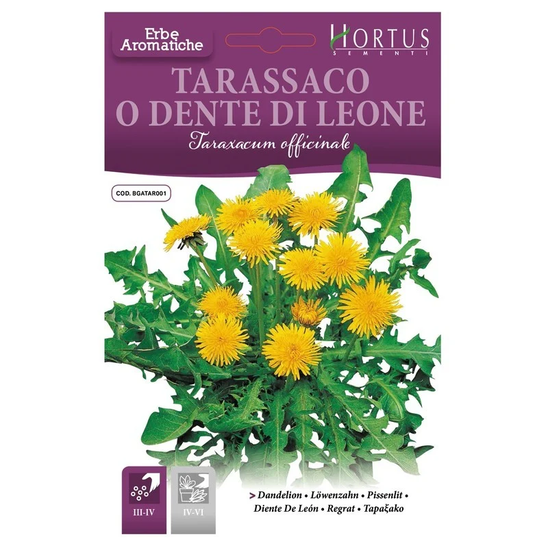 Tarassaco o Dente di Leone DB