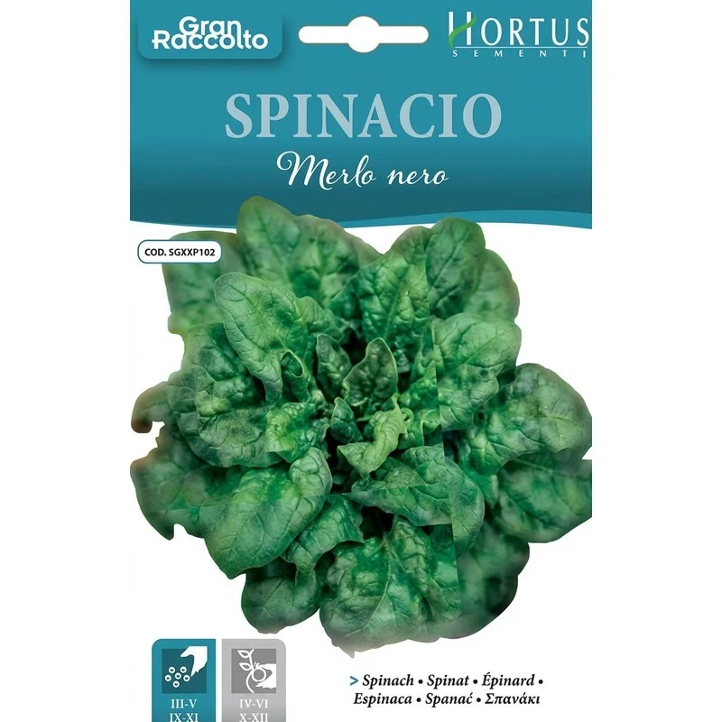 Spinacio Merlo Nero Gran Raccolto