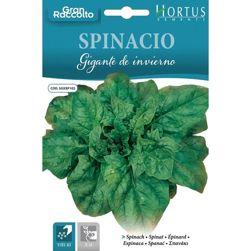 Spinacio Gigante de inverno Gran Raccolto