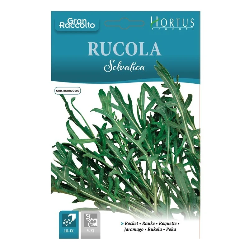 Rucola Selvatica Gran Raccolto