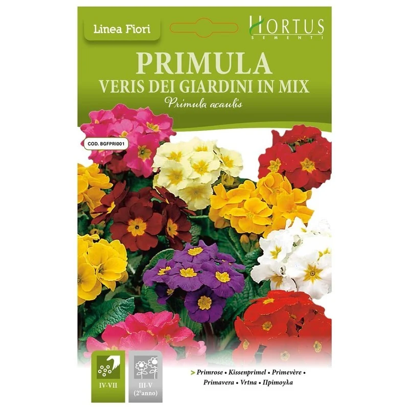 Primula veris Dei giardini mix DB