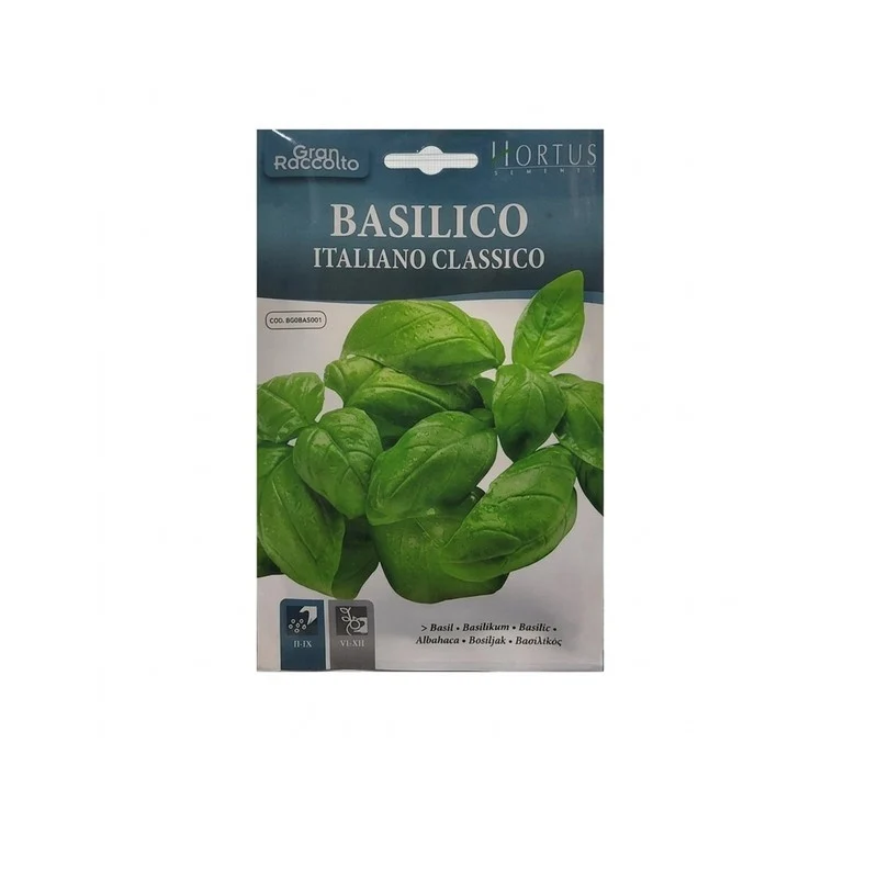Basilico italiano classico Gran Raccolto