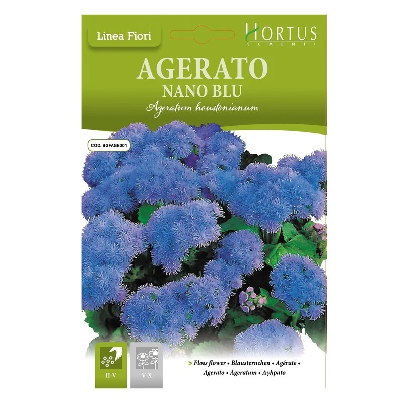 Agerato Nano Blu DB