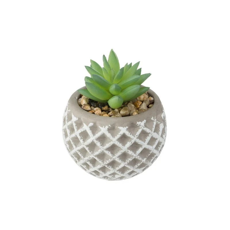 Succulenta H9 cm con vaso in cemento