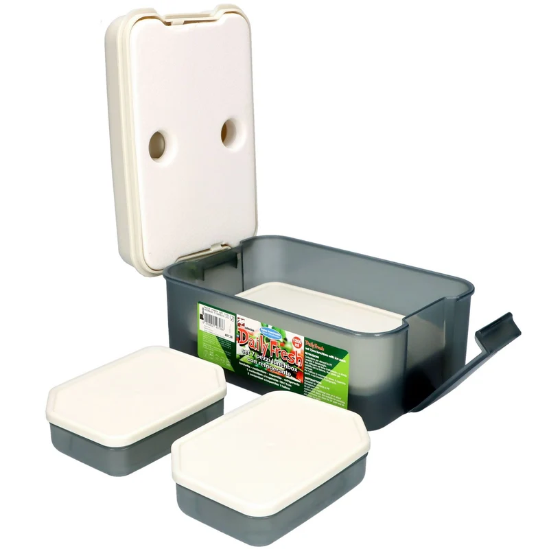 Lunch box con refrigerante 7 pz Daily Fresh