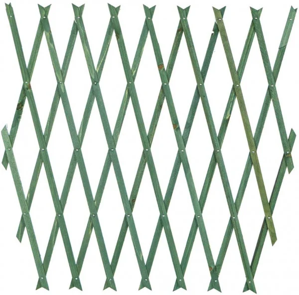 Traliccio estensibile in legno verde cm 100x200