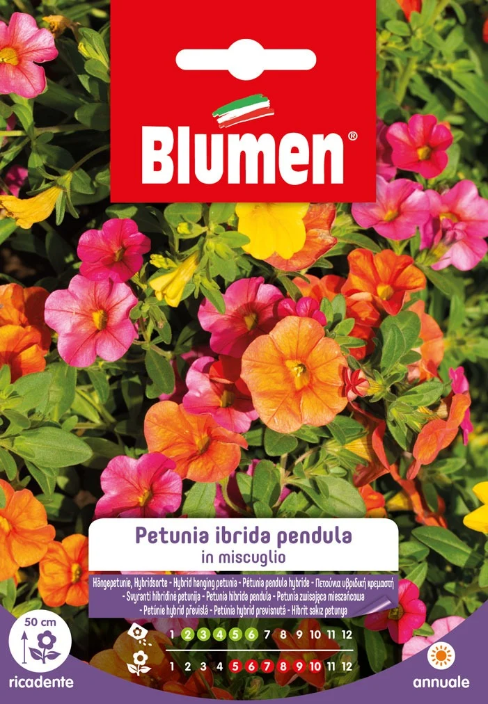 Petunia Ibrida Pendula In Miscuglio