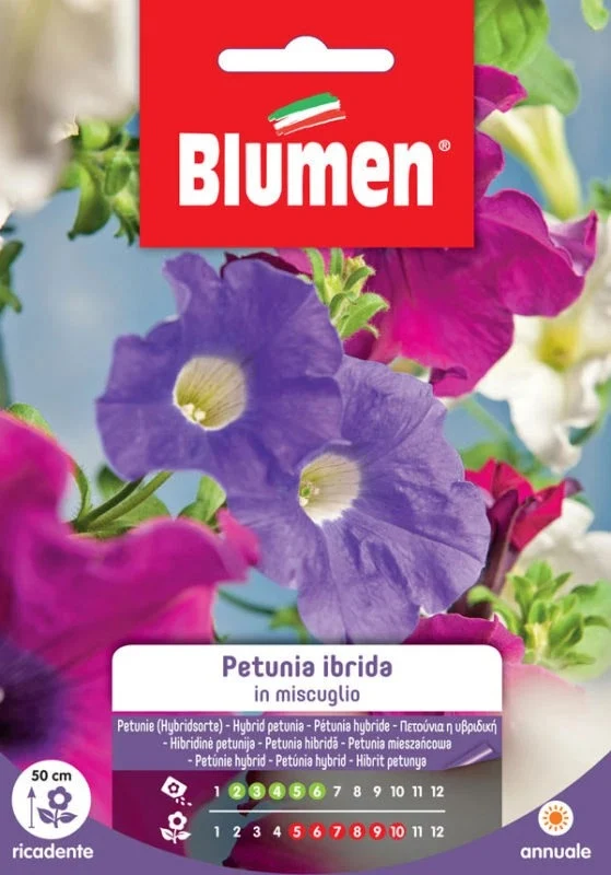 Petunia Ibrida In Miscuglio